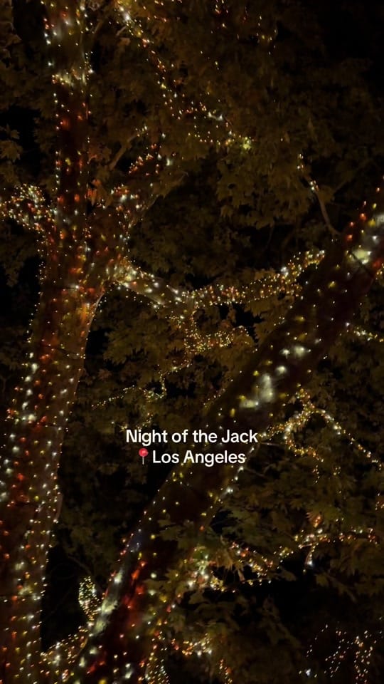 Post 5 by Brianna McDonnell on TikTok (video)