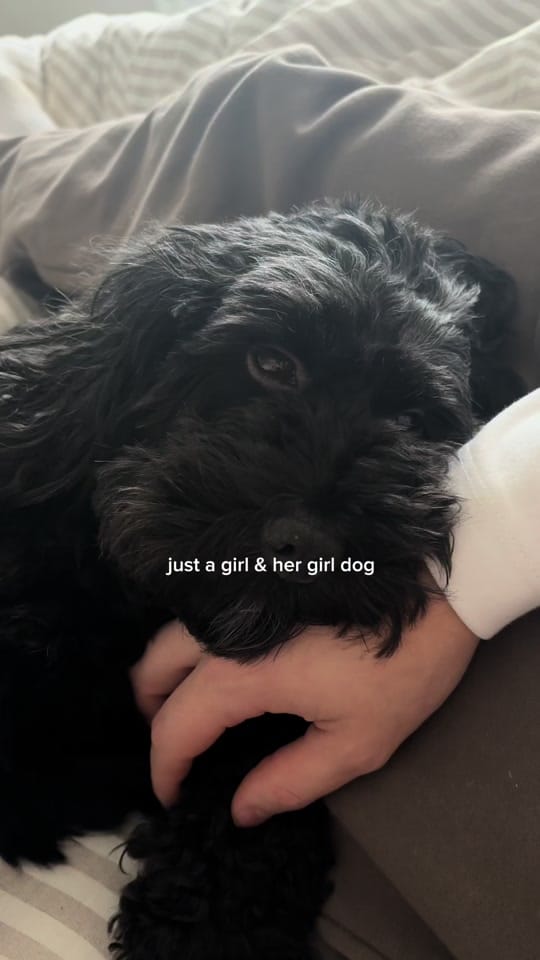 Post 7 by shannonwhiite on TikTok (video)