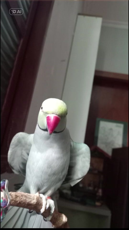 Post 1 by Lᥙ on TikTok (video)