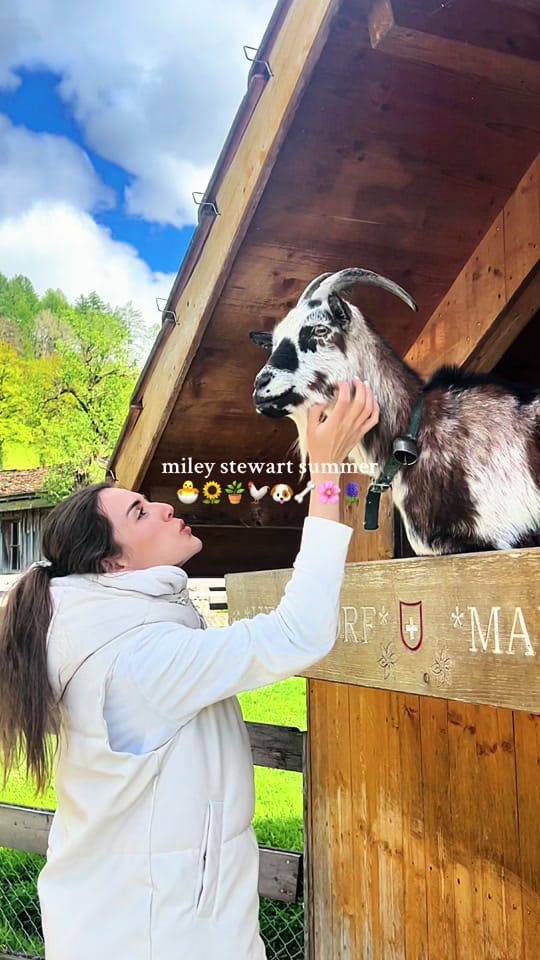 Post 5 by nilhangen 🌸 on TikTok (video)