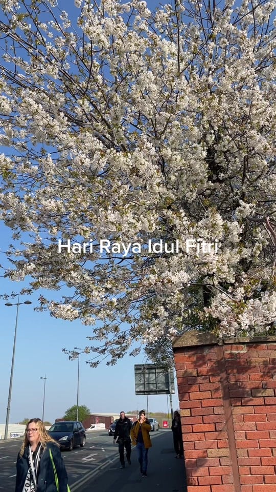 Post 8 by Gebby Aqiilah on TikTok (video)