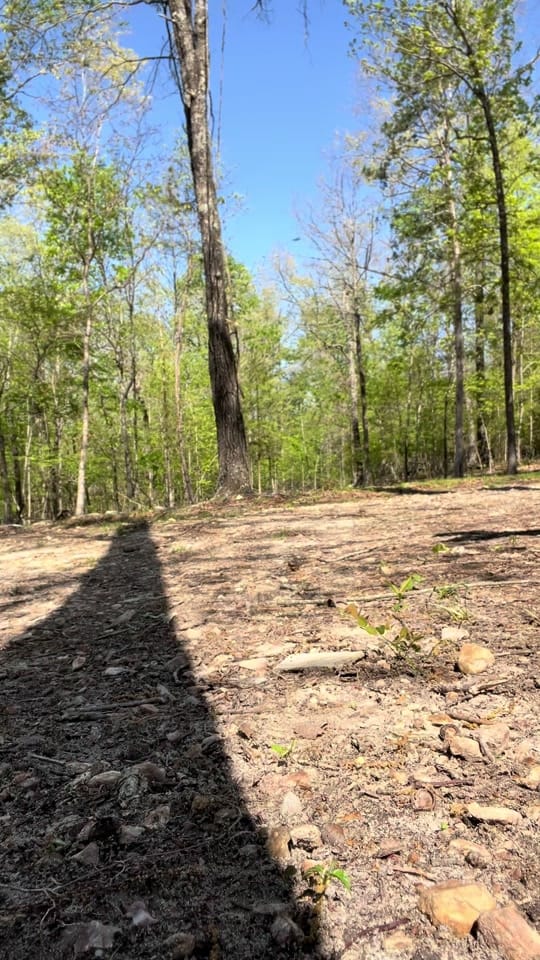 Post 5 by ozark_oz on TikTok (video)