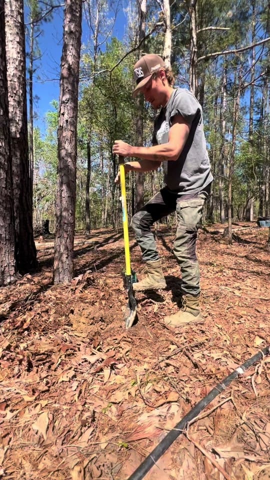 Post 6 by ozark_oz on TikTok (video)