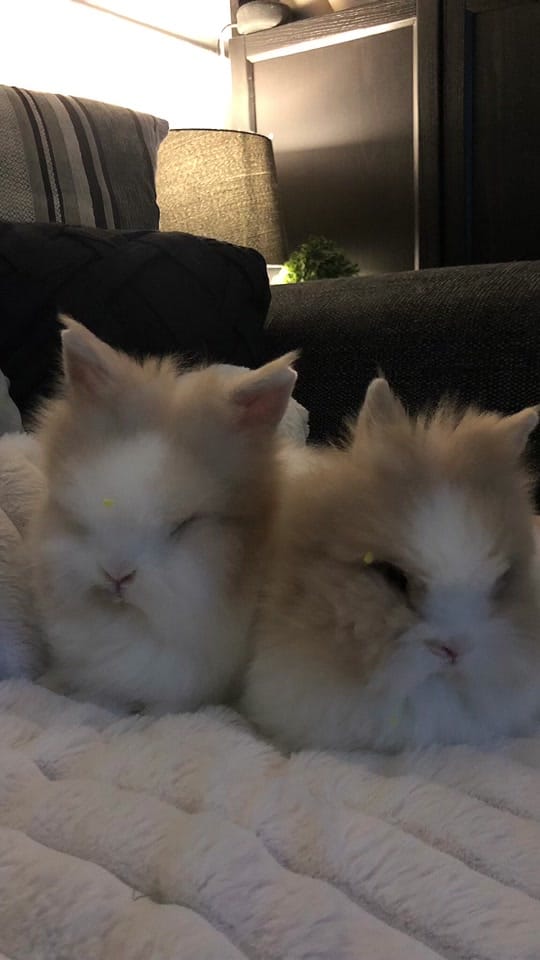 Post 7 by Kelly 🌸 on TikTok (video)