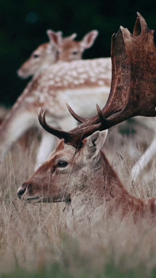 Post 3 by London | Travel | Lifestyle on TikTok (video)