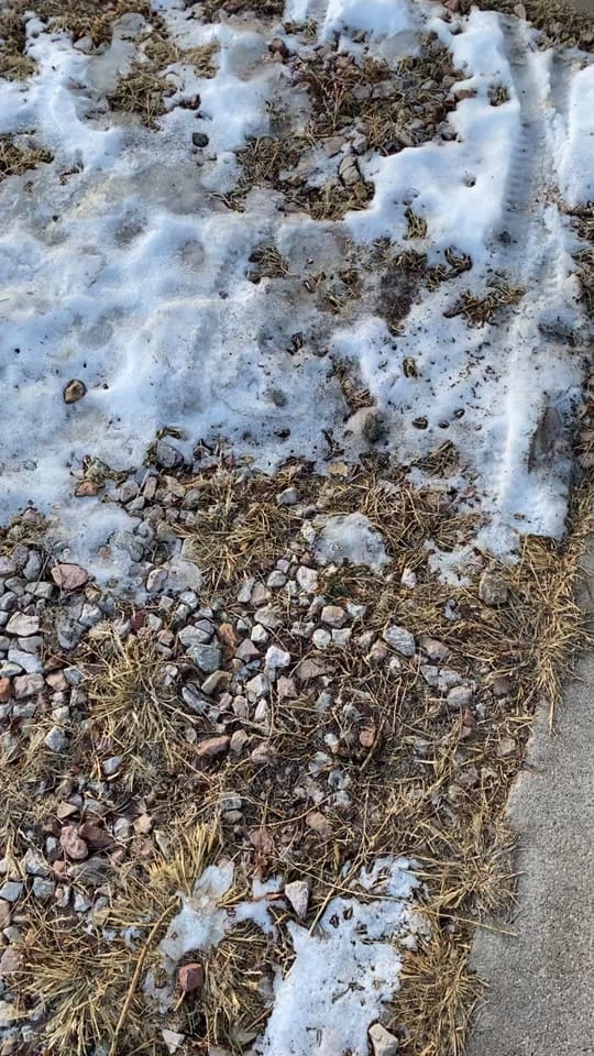 Post 10 by Jackie on TikTok (video)