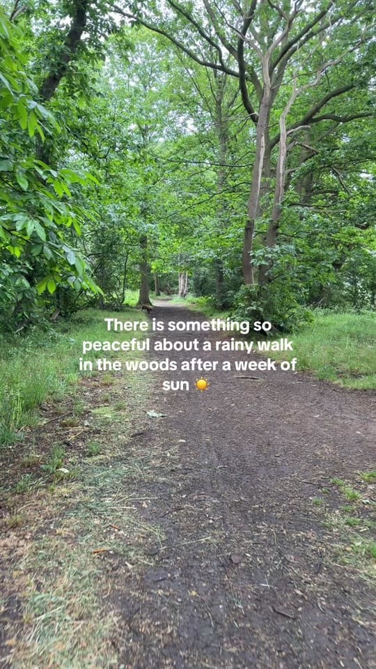 Post 3 by Bobby 🐶 & Nannie 🎀 on TikTok (video)