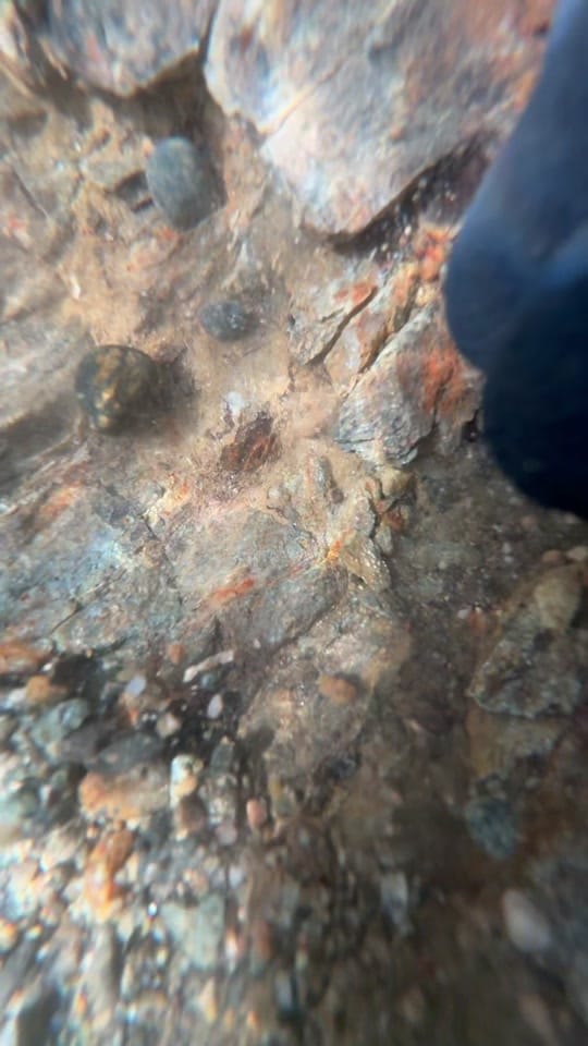 Post 4 by Gold_Rush_Scotland on TikTok (video)
