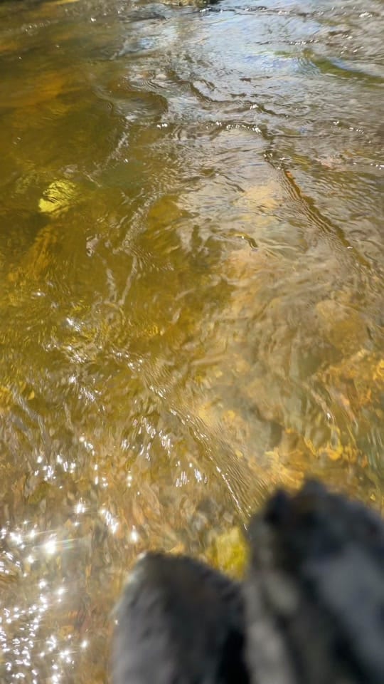 Post 7 by Gold_Rush_Scotland on TikTok (video)
