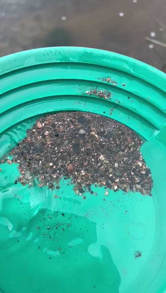 Post 1 by Gold_Rush_Scotland on TikTok (video)