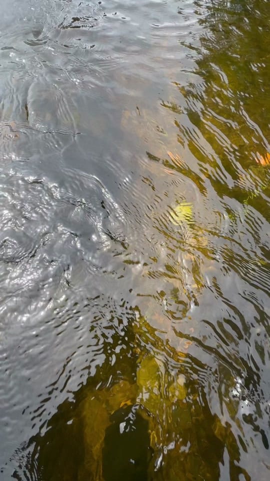 Post 3 by Gold_Rush_Scotland on TikTok (video)