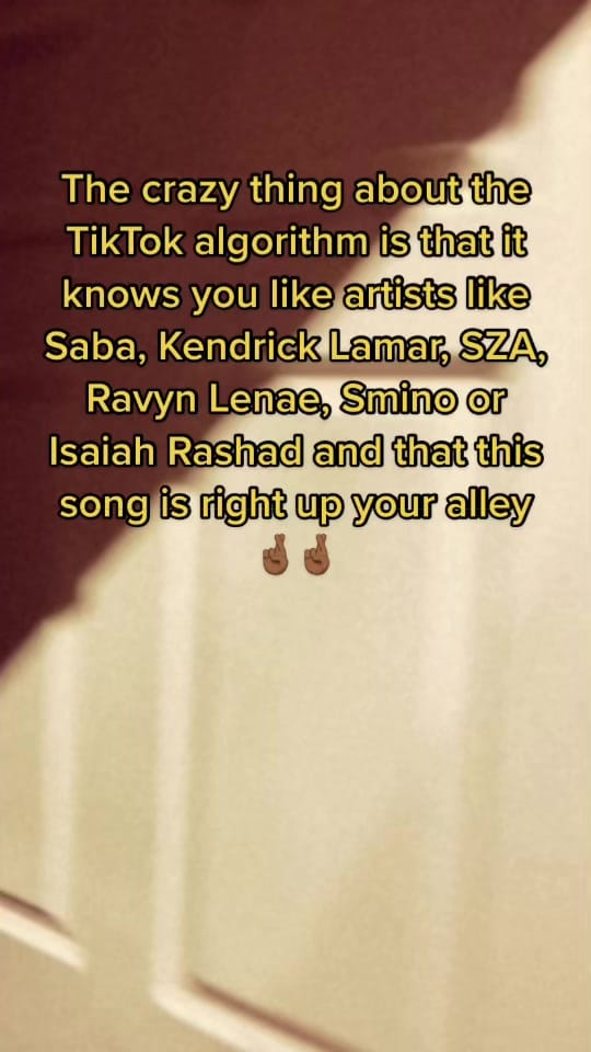 Post 9 by Ajani Jones on TikTok (video)