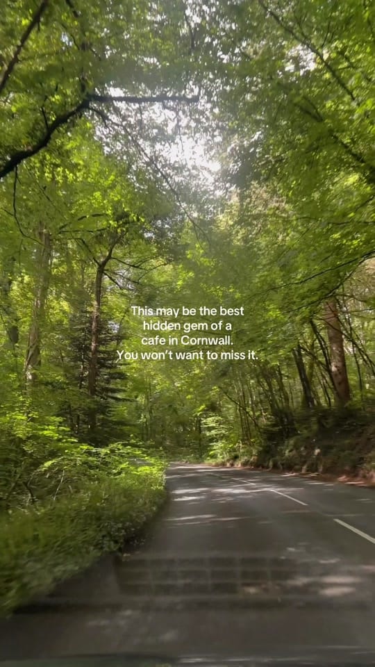 Post 5 by Pops on TikTok (video)