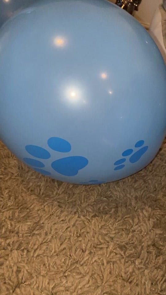 Post 10 by Cat Perkins on TikTok (video)