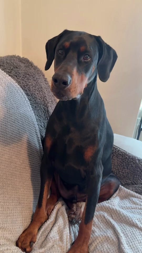 Post 7 by Cat Perkins on TikTok (video)