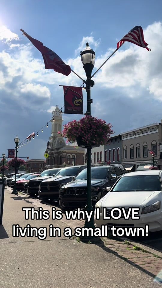 Post 4 by TheKYHoneyBees on TikTok (video)
