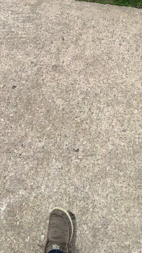 Post 6 by TheKYHoneyBees on TikTok (video)