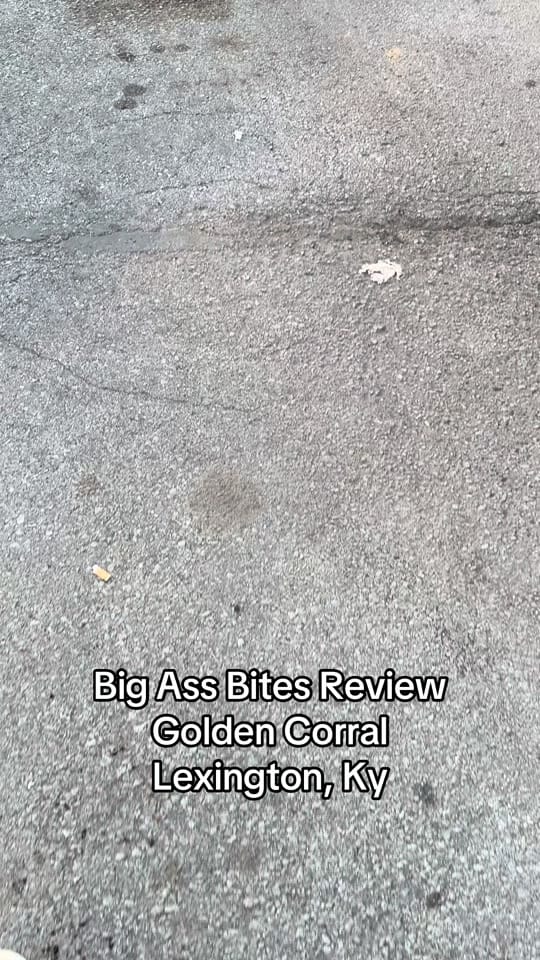 Post 1 by TheKYHoneyBees on TikTok (video)