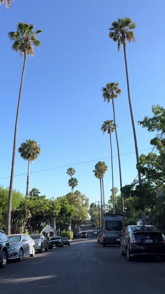 Post 2 by L.A. Cultural Exchange on TikTok (video)