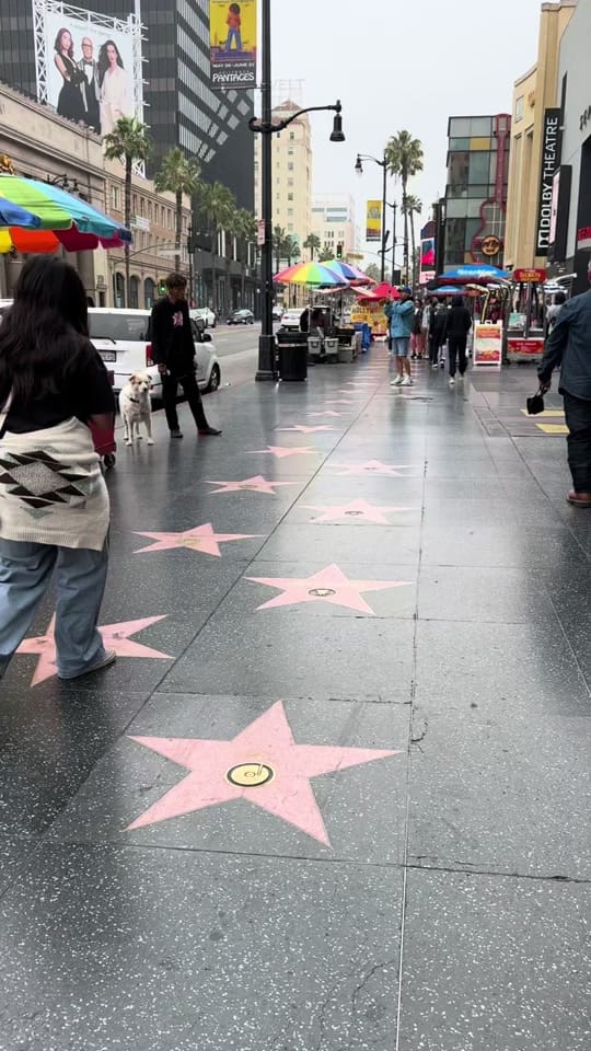 Post 1 by L.A. Cultural Exchange on TikTok (video)
