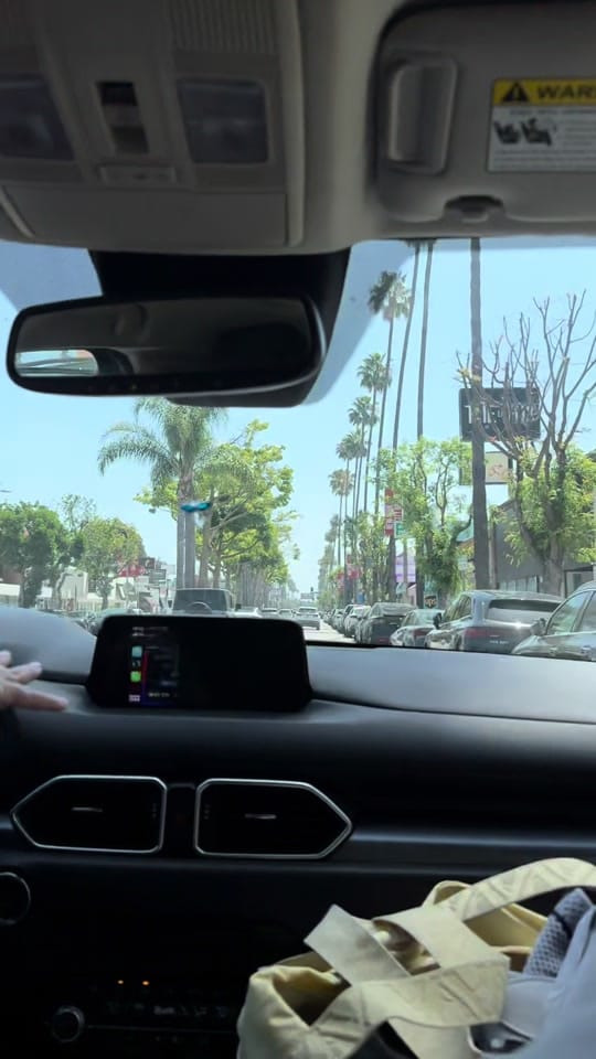 Post 6 by L.A. Cultural Exchange on TikTok (video)
