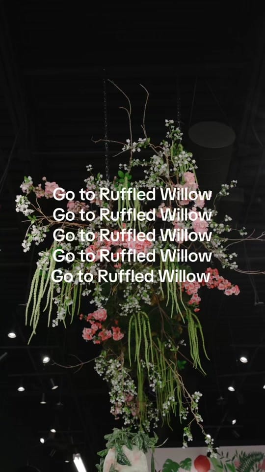 Post 8 by Ruffled Willow on TikTok (video)