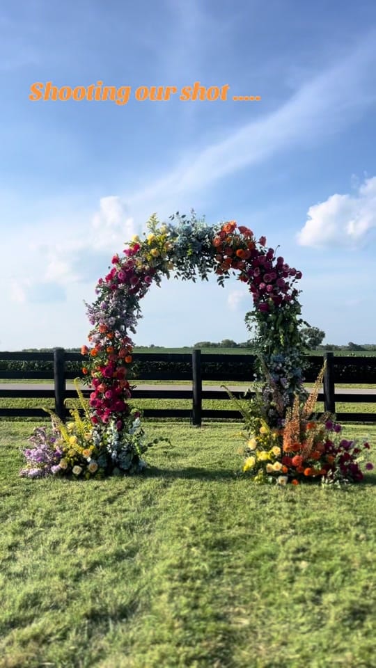 Post 3 by Ruffled Willow on TikTok (video)