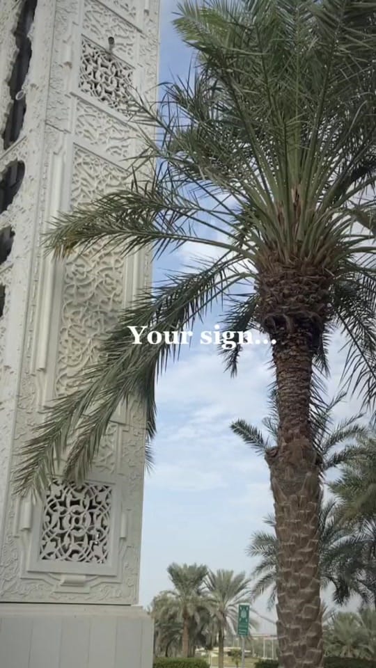 Post 5 by M.E. on TikTok (video)