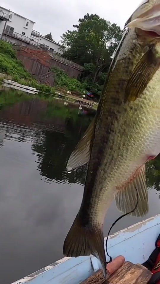 Post 10 by Extreme.Outdoorsmen on TikTok (video)