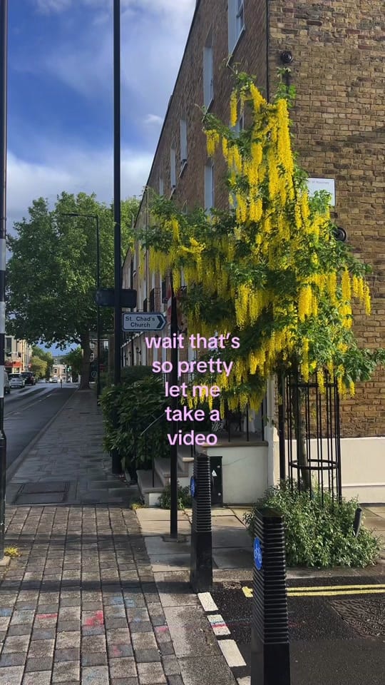 Post 7 by kelsey | travel & life abroad on TikTok (video)