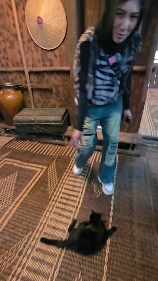 Post 8 by irenecatalina on TikTok (video)