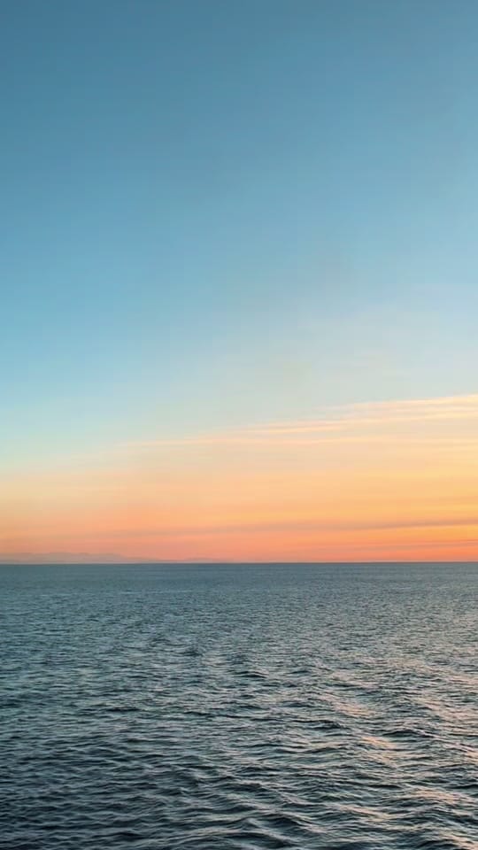 Post 3 by Molly ✨ on TikTok (video)