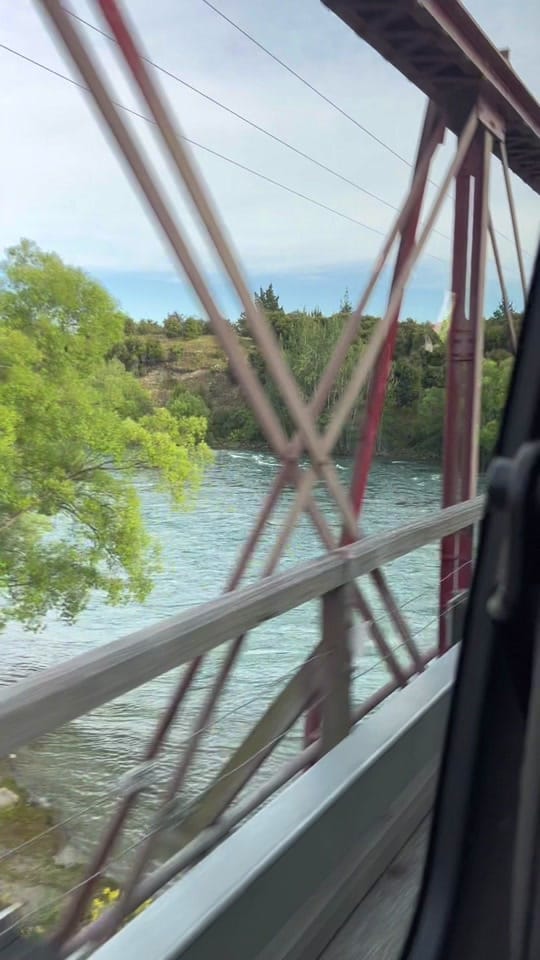 Post 9 by Molly ✨ on TikTok (video)