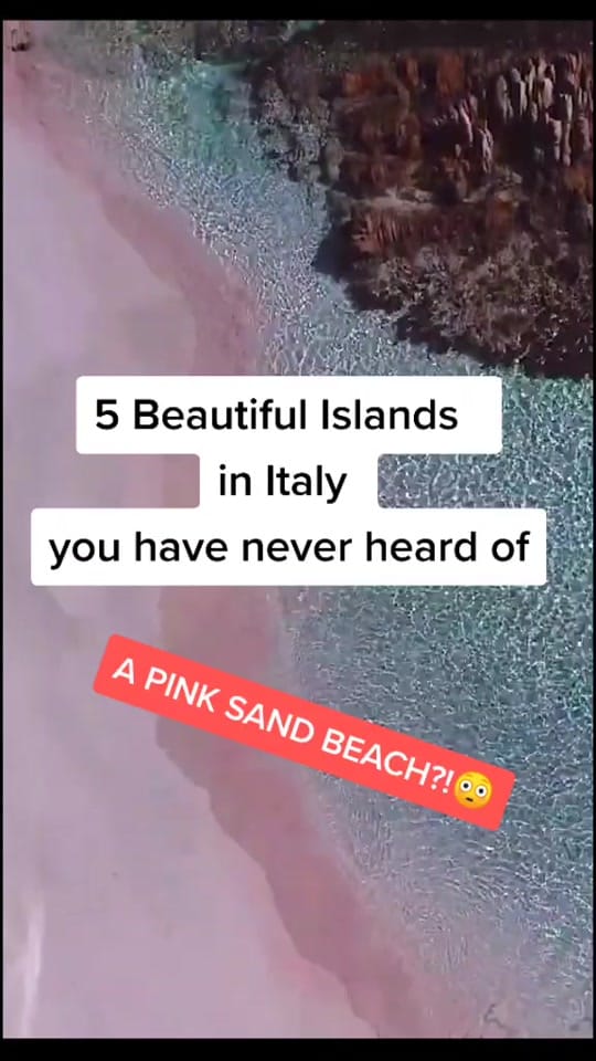 Post 8 by Food You Should Know on TikTok (video)