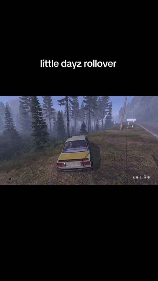 Post 2 by Tudor on TikTok (video)