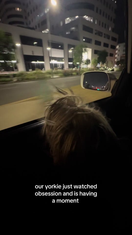 Post 5 by caydenxcx on TikTok (video)