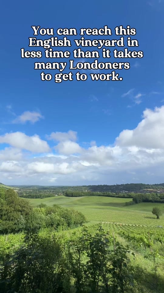 Post 3 by Amanda👒BoutiqueAdventurer on TikTok (video)
