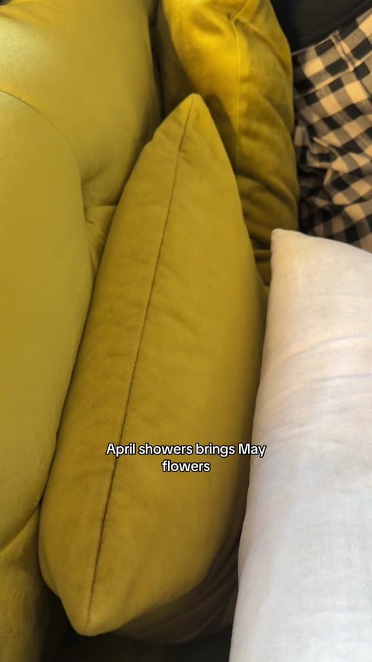 Post 8 by Hallie on TikTok (video)
