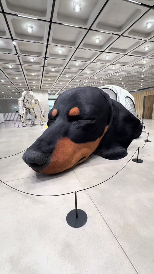 Post 6 by artcityworks on TikTok (video)
