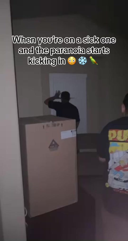 Post 8 by EIPitoLindo96 on TikTok (video)