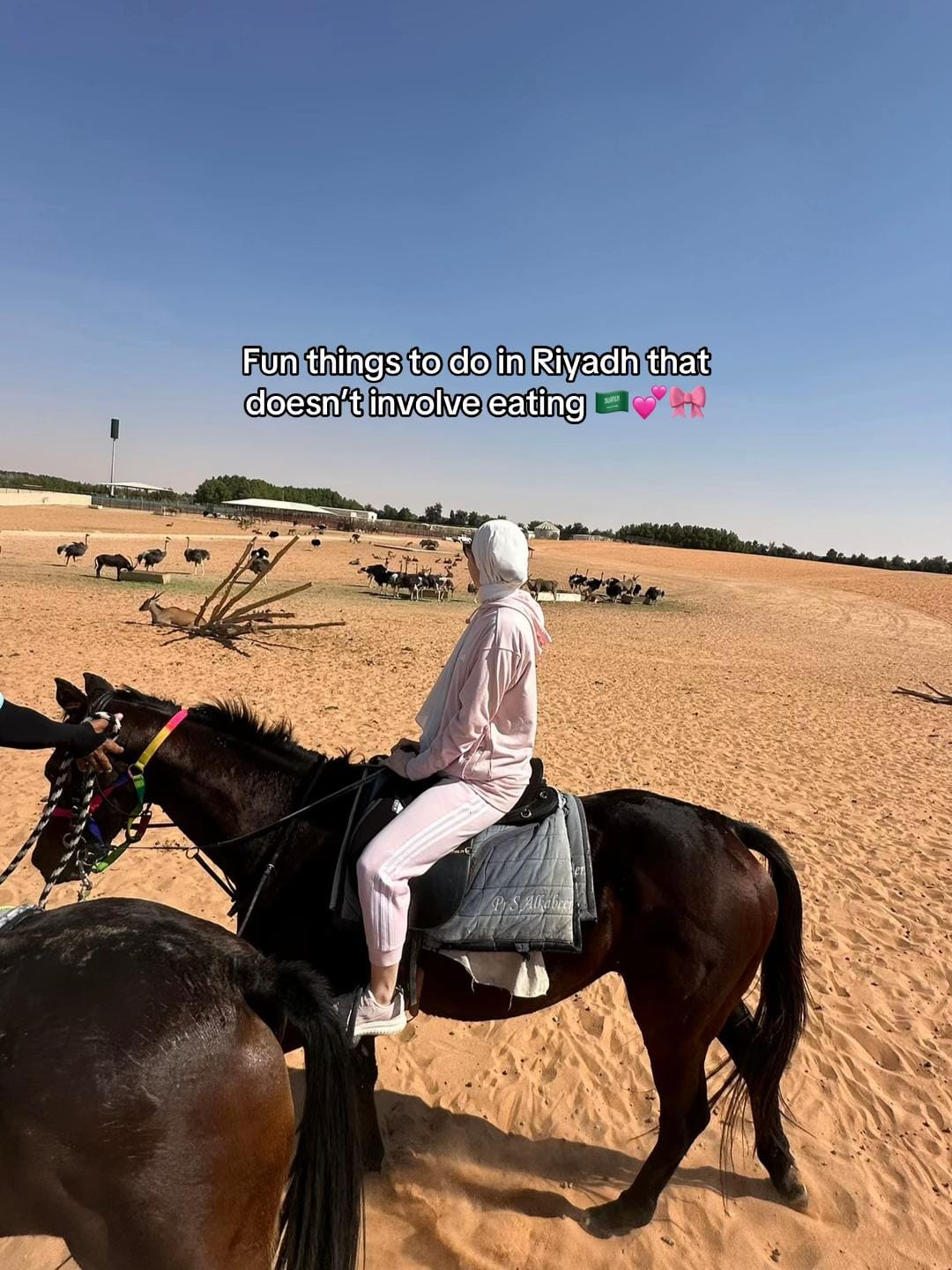 Post 9 by Miss Bee 🐝 on TikTok (video)