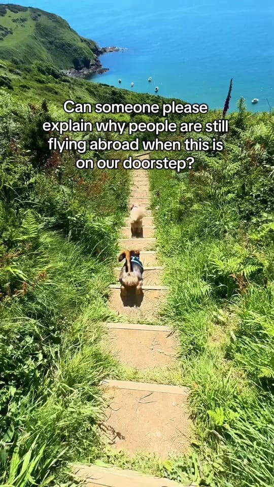 Post 3 by Sykes Cottages on TikTok (video)