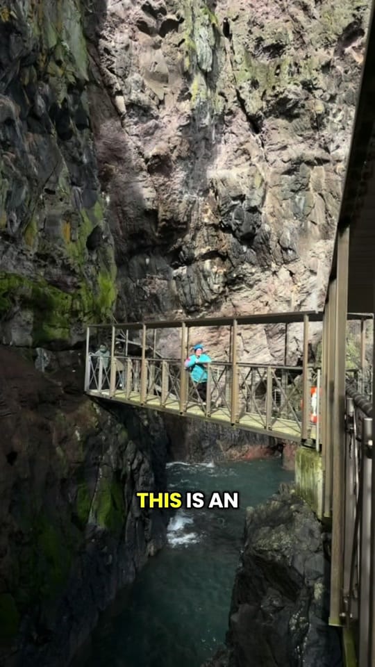 Post 6 by Sasha | Travel & Illustrator on TikTok (video)