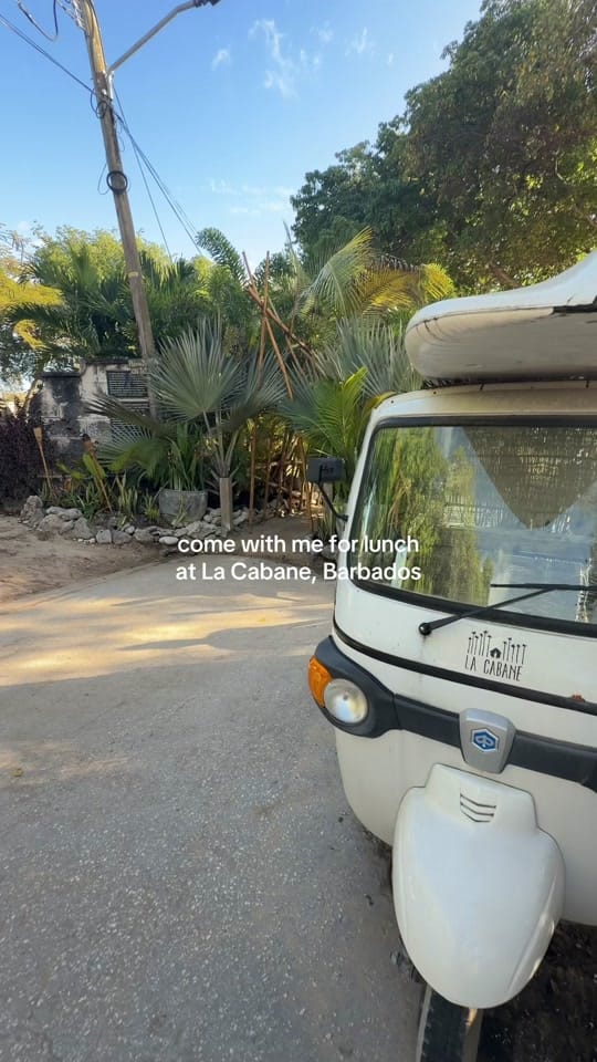 Post 4 by Sophie Frais on TikTok (video)