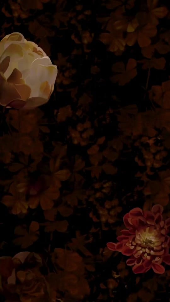 Post 1 by Britney S Lewis - Author on TikTok (video)