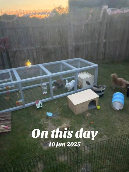 Post 1 by Amber Chelsea Gray on TikTok (video)