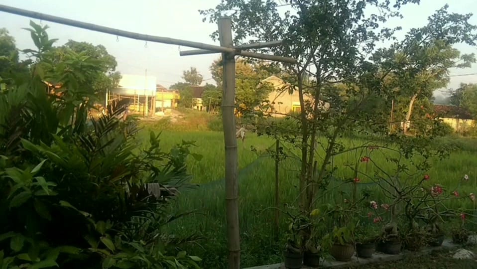 Post 7 by Aj'Chelsea2191 on TikTok (video)