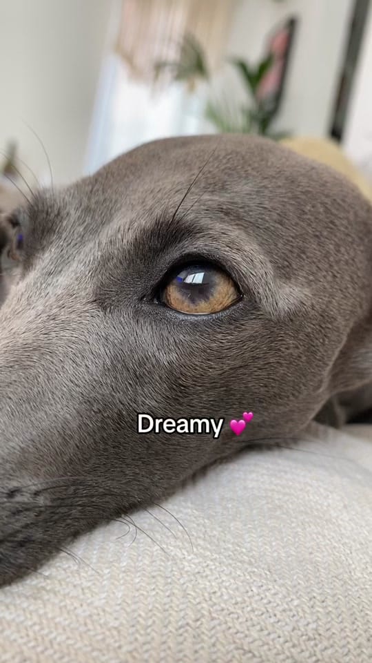 Post 4 by JayJay on TikTok (video)