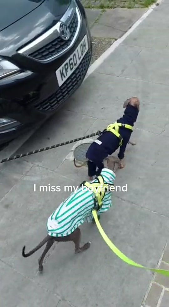 Post 8 by JayJay on TikTok (video)