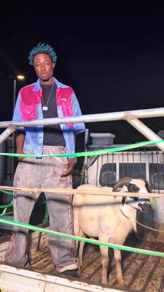 Post 7 by Og abbah on TikTok (video)